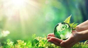 Read more about the article Why is Recycling Important